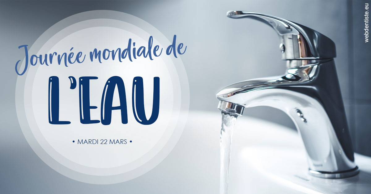 https://www.docteur-pauly-callot.fr/La journée de l'eau 2