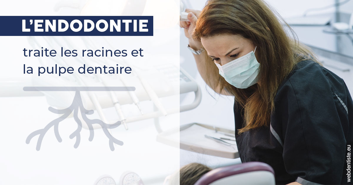 https://www.docteur-pauly-callot.fr/L'endodontie 1