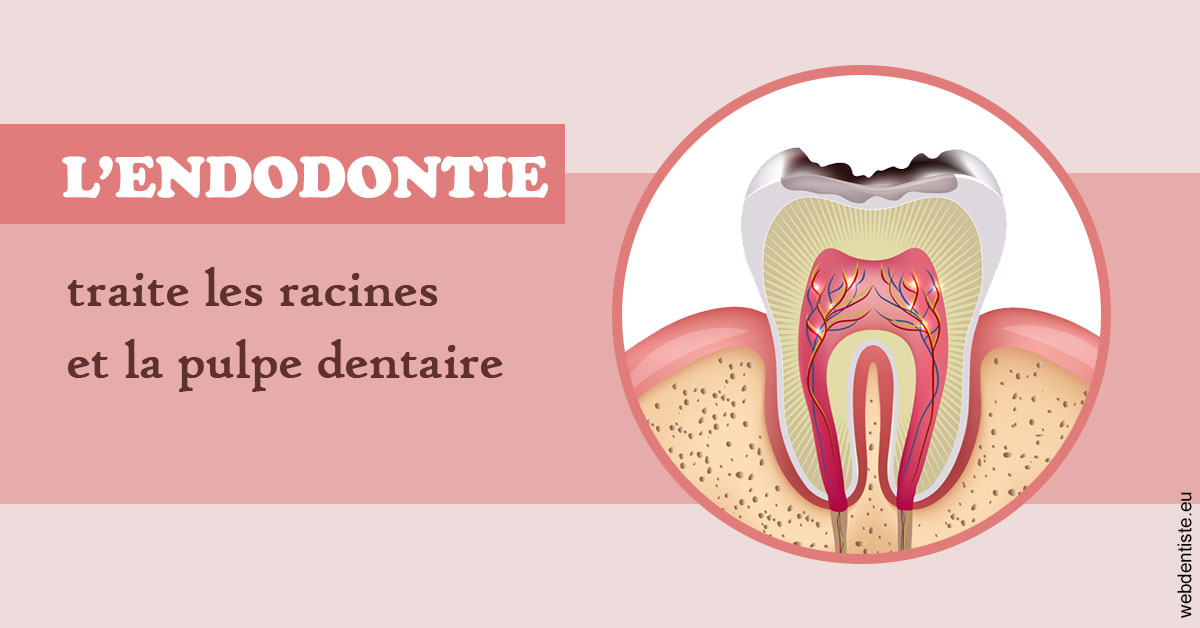 https://www.docteur-pauly-callot.fr/L'endodontie 2