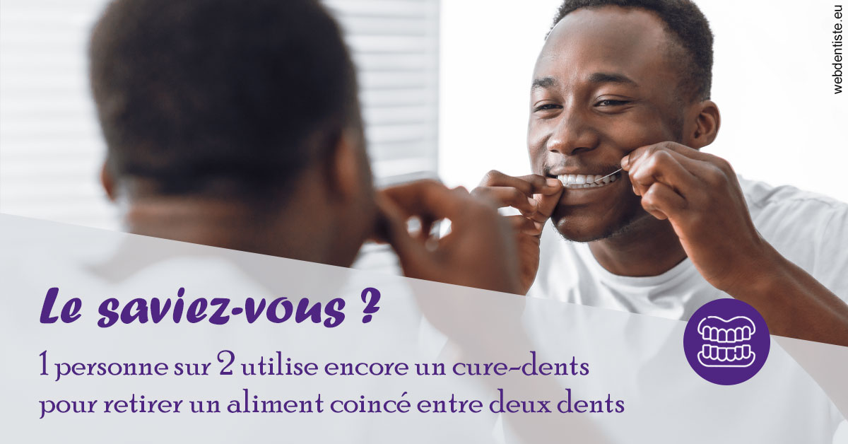 https://www.docteur-pauly-callot.fr/Cure-dents 2