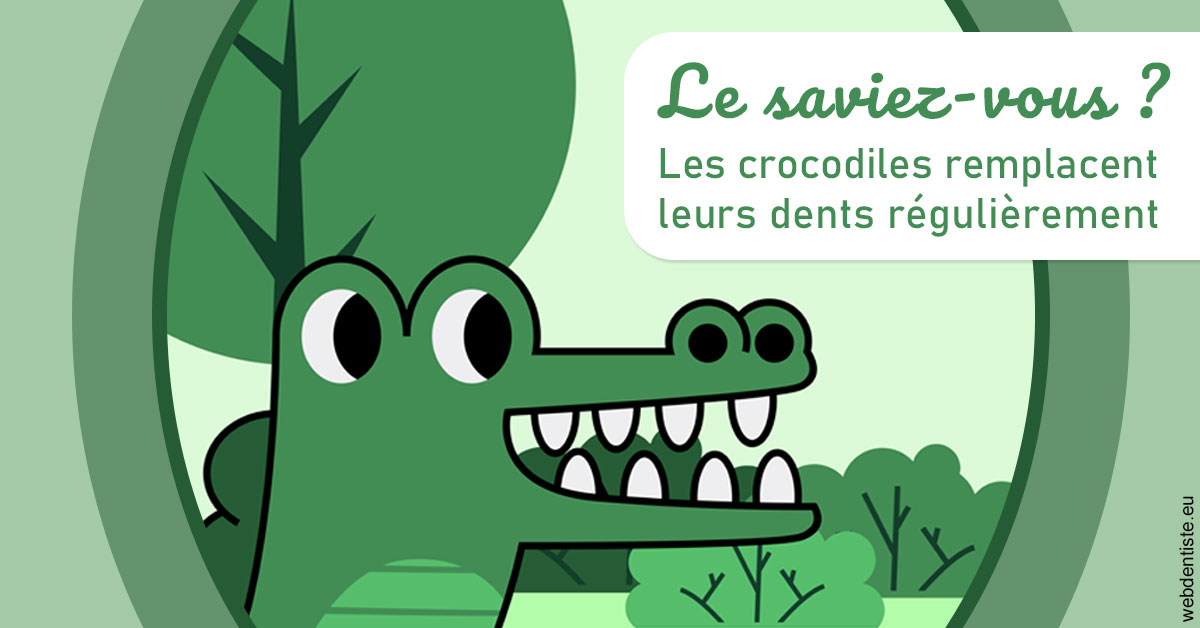 https://www.docteur-pauly-callot.fr/Crocodiles 2