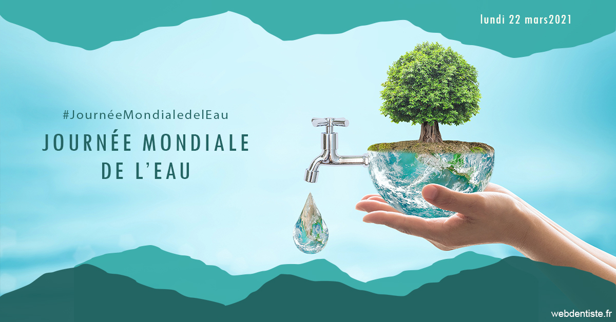https://www.docteur-pauly-callot.fr/Journée de l'eau 1