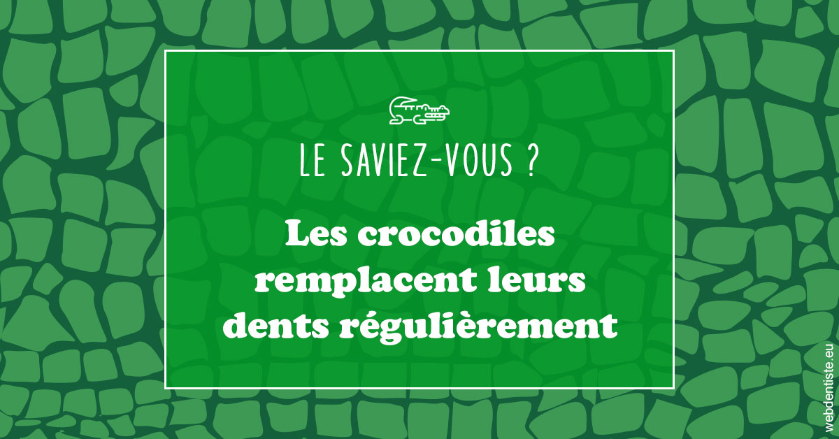 https://www.docteur-pauly-callot.fr/Crocodiles 1